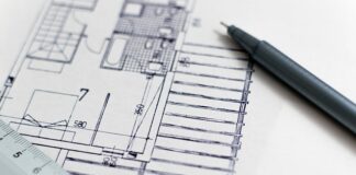 Czym się różni budowa anatomiczna od morfologicznej?