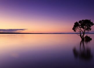 Jak zachować spokój w pracy? Jak zachować spokój w pracy?