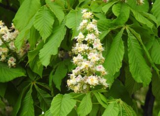 Co najczęściej pojawia się na maturze z biologii?