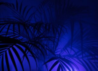 Co to jest i KP? Co to jest i KP?