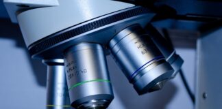 Co trzeba zdać na maturze żeby dostać się na biotechnologię?