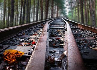 Czy w Internecie wszystko jest prawdziwe?