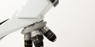 Co to jest morfologia nauka?