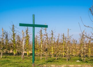 Czy w szkole trzeba wprowadzić regulamin pracy zdalnej? Czy w szkole trzeba wprowadzić regulamin pracy zdalnej?