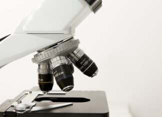 O czym jest morfologia? O czym jest morfologia?