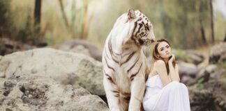 Kto tworzy system ochrony zdrowia?