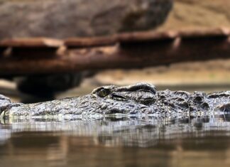 Jakie są podstawowe zasady zabezpieczenia komputera?