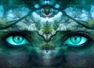 Jak chronić tożsamość w internecie?