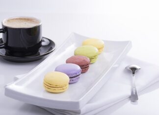 Jakie są cechy organizmu?