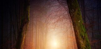 Jak sprawdzić rachunek zysków i strat?