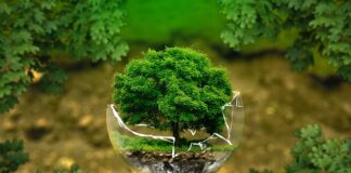 Czy biologia jest trudna?