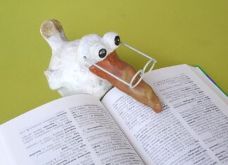 Ile za przetłumaczenie dokumentu?