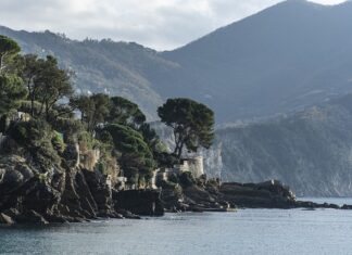 Ile kosztuje miesięcznie terminal? Ile kosztuje miesięcznie terminal?