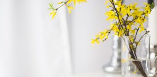 Jak się nazywał kiedyś Plus?