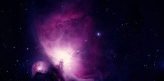 Od czego zacząć naukę automatyzacji testów?