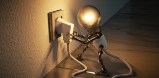 Jakie warzywa mają najwięcej energii?