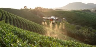 Który z systemów informatycznych był pierwszy?