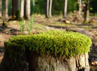 Jak zregenerować zmęczony organizm? Jak zregenerować zmęczony organizm?