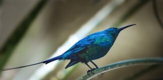 Czy można dopisać ręcznie na fakturze?