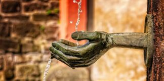 Jak wyznaczyć funkcję trendu?