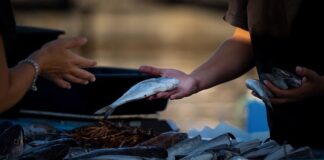 Jak sprzedawać w social media?