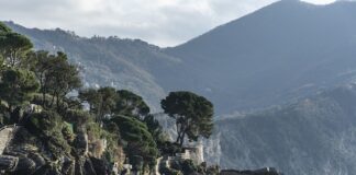 Ile kosztuje godzina pracy tłumacza przysięgłego?