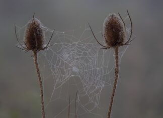 Gdzie można znaleźć sprawdziany?