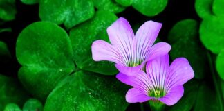 Jak przyciągnąć uwagę?