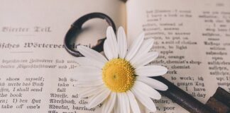 Czy tłumaczenia są zwolnione z VAT?