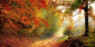 Jak przejąć spadek zapisany w testamencie?