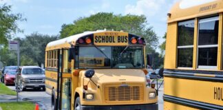 Czy pedagog specjalny prowadzi zajęcia?