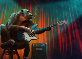 Jakie są etapy diagnozy funkcjonalnej?