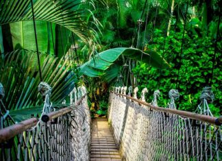 Czy warto zrobić kurs na testera oprogramowania?