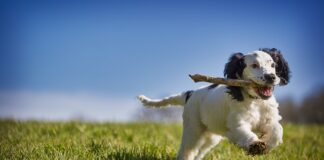 Jak szybko odzyskać energię?