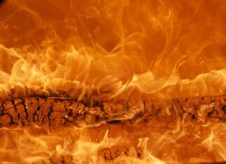 Co pić aby mieć energię? Co pić aby mieć energię?