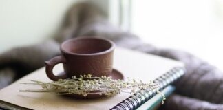 Jakie zioła pić na noc?