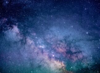 Jakie badania krwi na brak energii? Jakie badania krwi na brak energii?