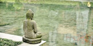 Jakie rozróżniamy rodzaje instalacji telekomunikacyjnych?