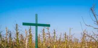 Co powinien zawierać regulamin pracowni terapii zajęciowej?