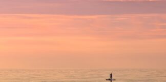 Jakie są obecne trendy w rozwoju technologii i możliwości jej wykorzystania w życiu codziennym?