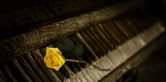 Co jest organem KAS?