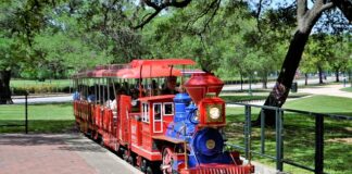 Czy testament ma pierwszeństwo przed dziedziczeniem ustawowym?