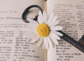 Ile wziąć za tłumaczenie specjalistyczne?